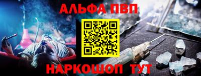 дмт Кингисепп