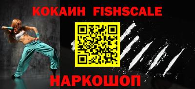 дмт Кингисепп