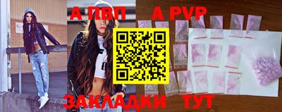 дмт Кингисепп