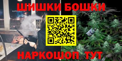 дмт Кингисепп