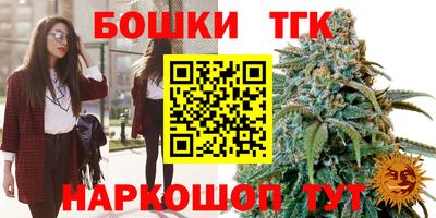 дмт Кингисепп