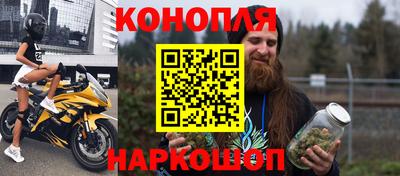 дмт Кингисепп