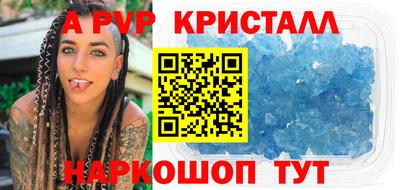 дмт Кингисепп