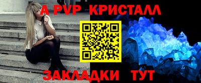 дмт Кингисепп