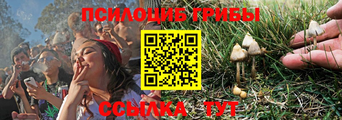 Чусовой  Галлюциногенные грибы MAGIC MUSHROOMS  Вход с VPN 