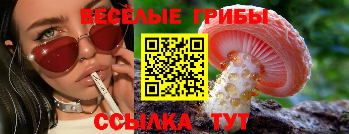 Псилоцибиновые грибы прущие грибы Чусовой
